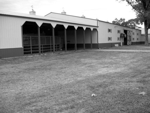 Property photo 88 - 80 Acres Offered in 4 Tracts - Horse Farm